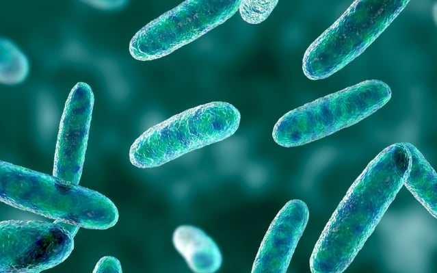 Aprenda sobre o amplo espectro de bactérias que os antissépticos da marca Listerine eliminam